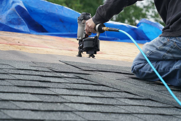 Best Shingle Roofing Installation  in Fort Davis, TX