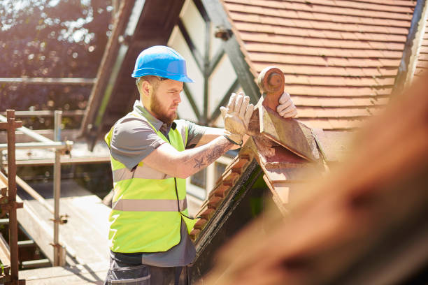 Best Roof Leak Repair  in Fort Davis, TX